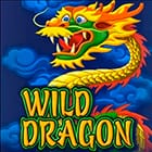 Wild Dragon